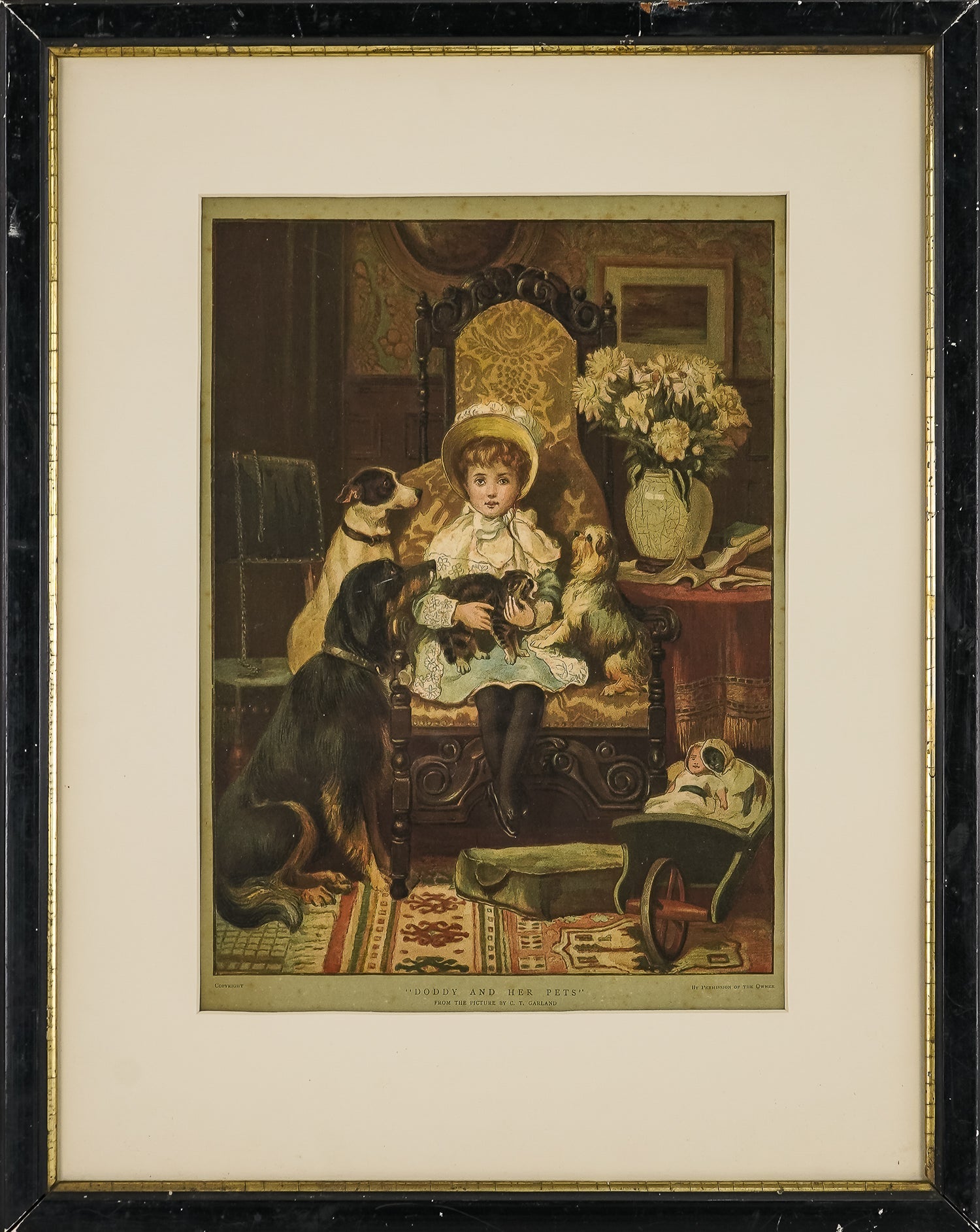 Doddy and Her pets