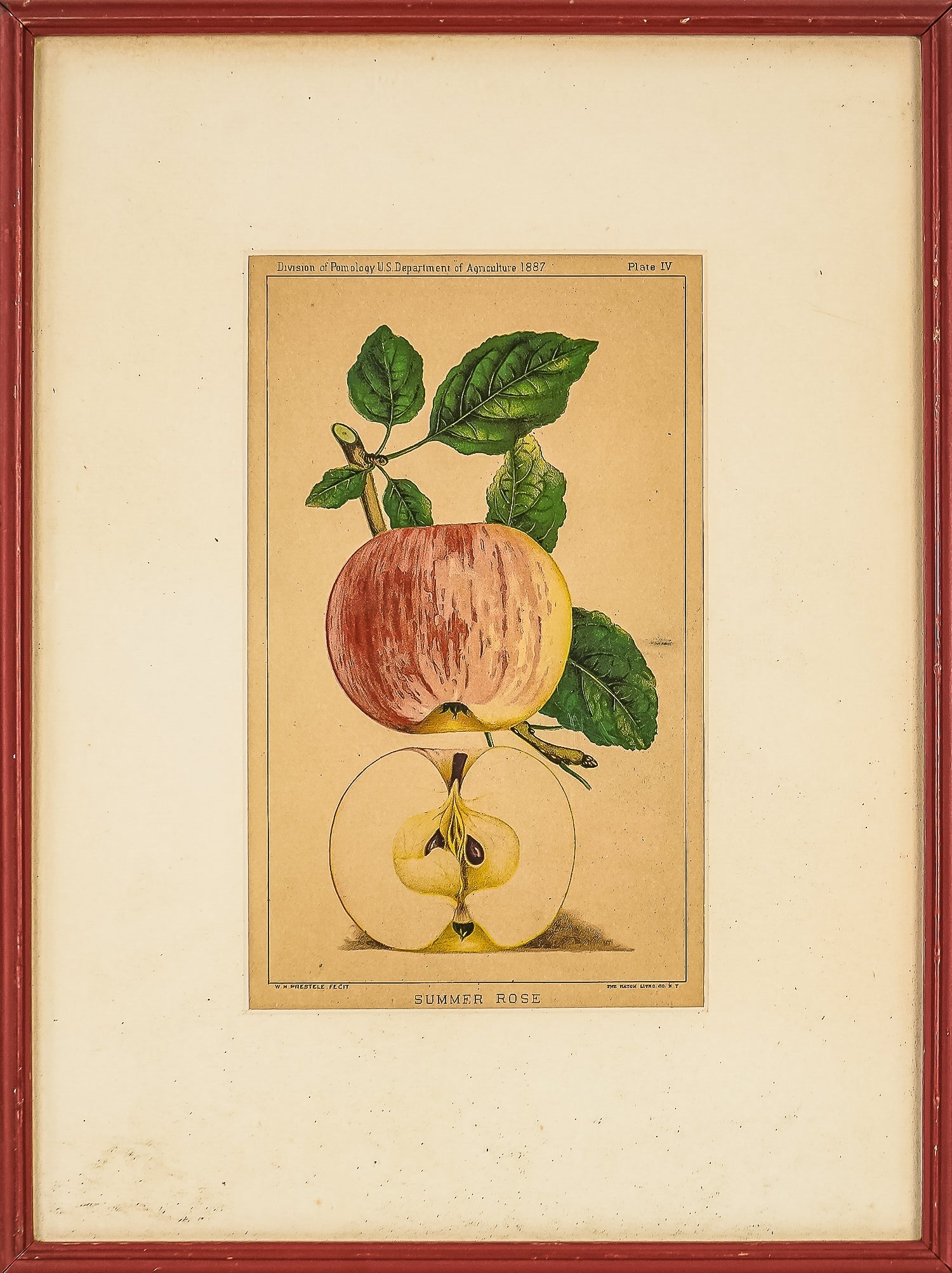 US Agricultural Litho, 1887