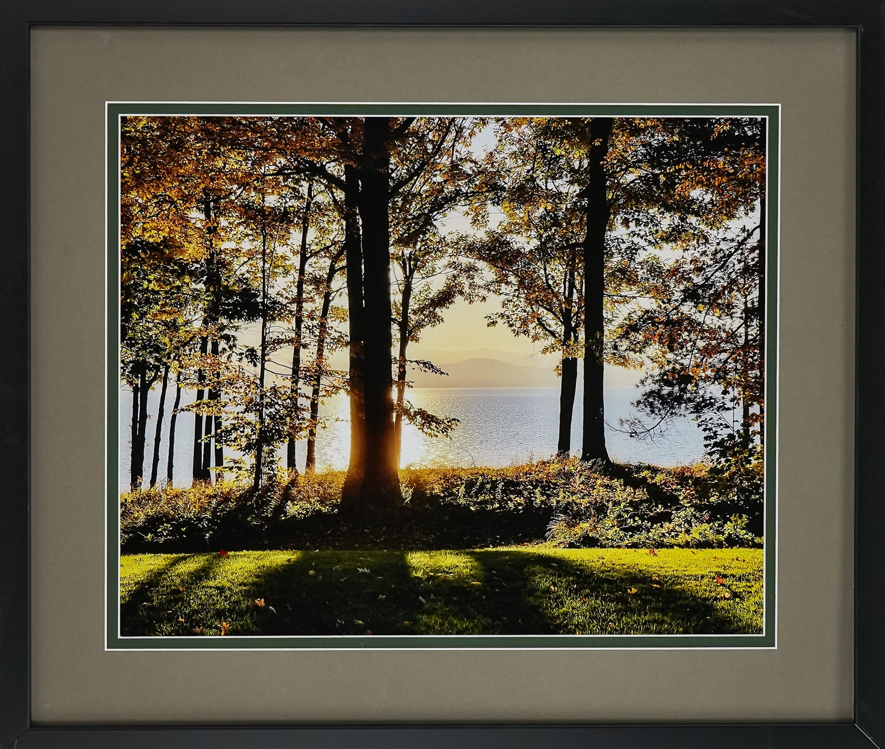 Greg Nicolai (VT Contemporary)